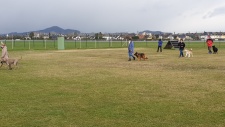 20210403_151002.jpg