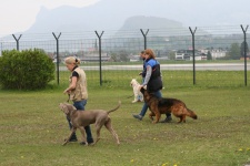 IMG_0749.jpg