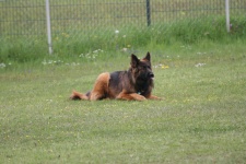 IMG_0756.jpg