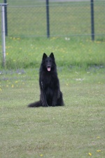 IMG_0786.jpg