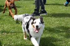 IMG_0903.jpg