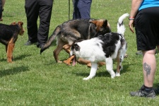 IMG_0031.jpg