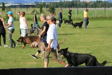 IMG_0045.jpg