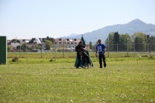 IMG_0432.jpg